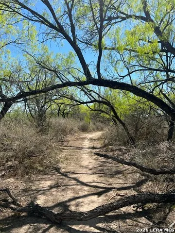 31 FM 1664 #N/A Quemado, TX 78877