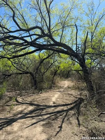 31 FM 1664 #N/A Quemado, TX 78877