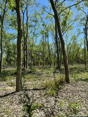 31 FM 1664 #N/A Quemado, TX 78877