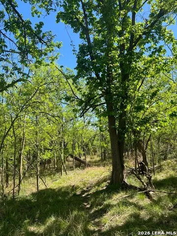 31 FM 1664 #N/A Quemado, TX 78877