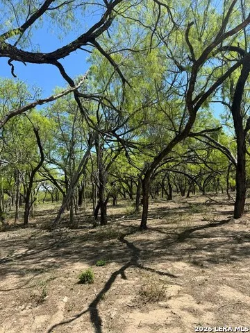 31 FM 1664 #N/A Quemado, TX 78877