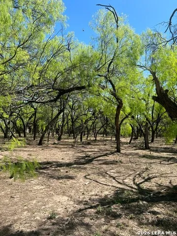 31 FM 1664 #N/A Quemado, TX 78877