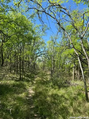 31 FM 1664 #N/A Quemado, TX 78877