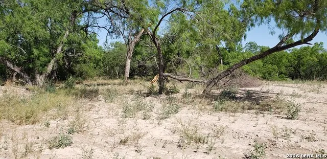 31 FM 1664 #N/A Quemado, TX 78877