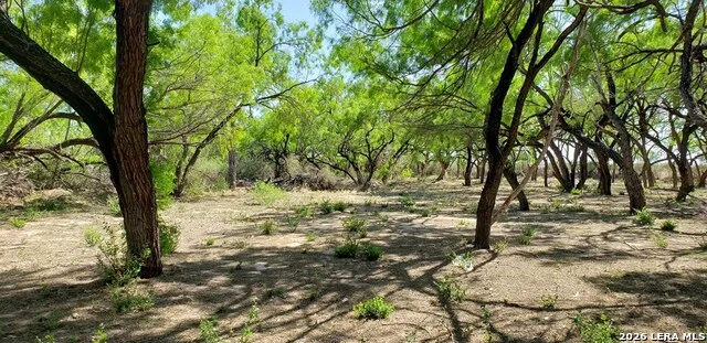 31 FM 1664 #N/A Quemado, TX 78877