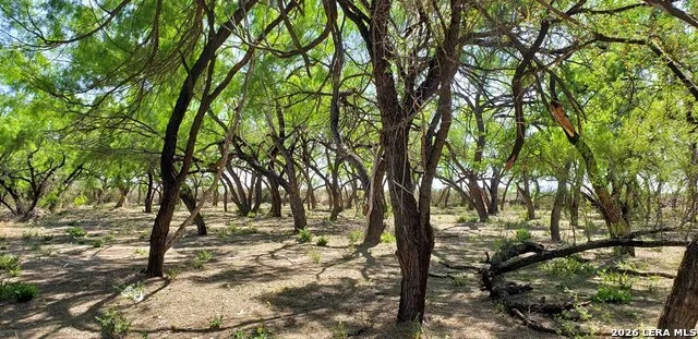31 FM 1664 #N/A Quemado, TX 78877
