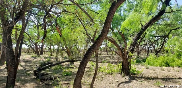31 FM 1664 #N/A Quemado, TX 78877