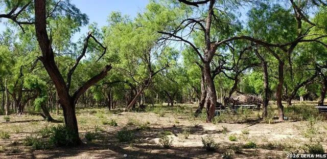 31 FM 1664 #N/A Quemado, TX 78877