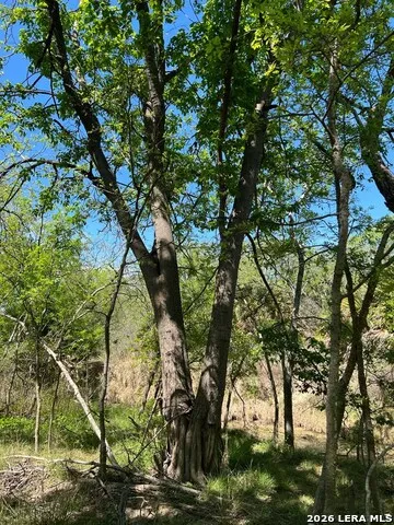 31 FM 1664 #N/A Quemado, TX 78877