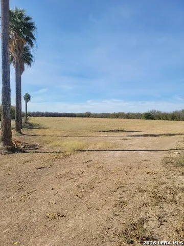 10.01 ACRES ABDALA RD. #N/A Quemado, TX 78832
