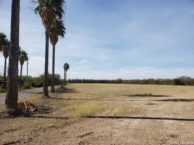 10.01 ACRES ABDALA RD. #N/A Quemado, TX 78832