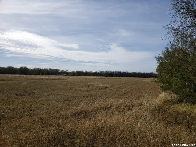 10.01 ACRES ABDALA RD. #N/A Quemado, TX 78832
