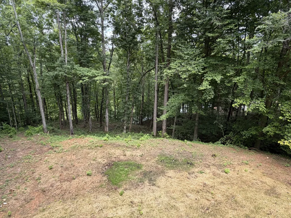 267 Collins River Dr Rock Island, TN 38581