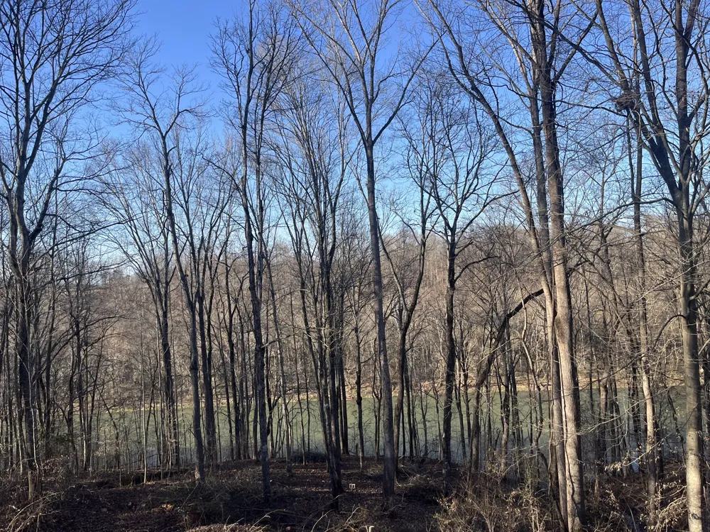 267 Collins River Dr Rock Island, TN 38581