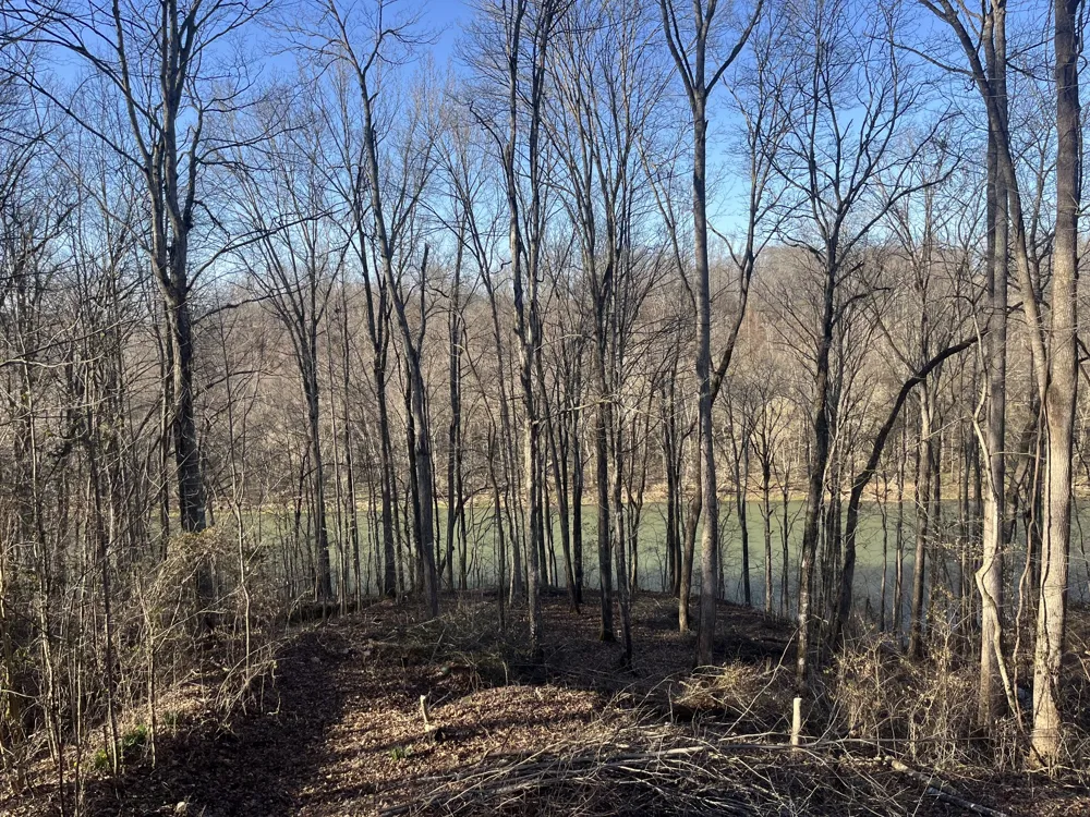 267 Collins River Dr Rock Island, TN 38581
