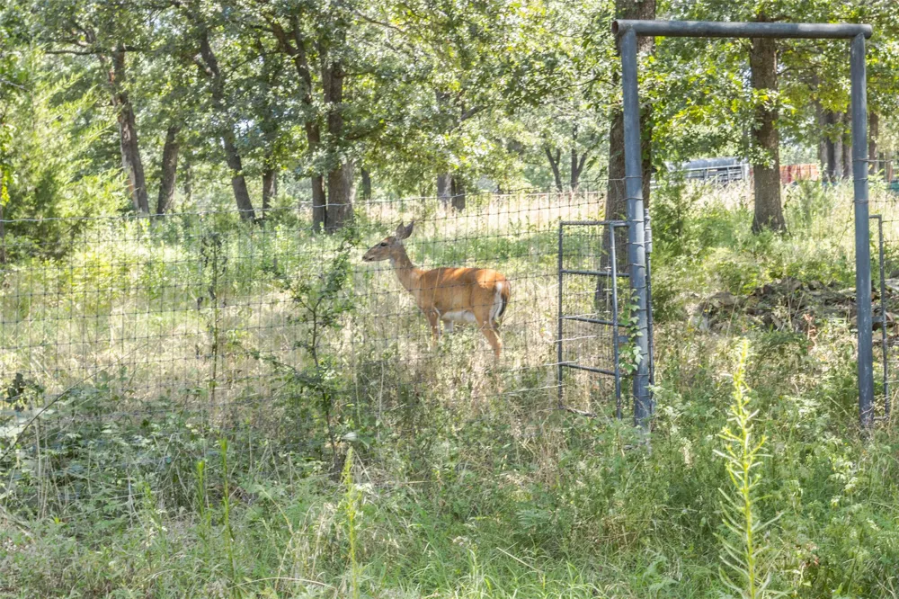 347368 E 800 ROAD Cushing, OK 74023