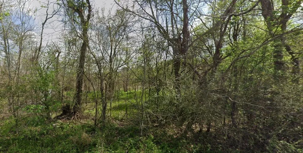 831 Drews Landing Rd Goodrich, TX 77335