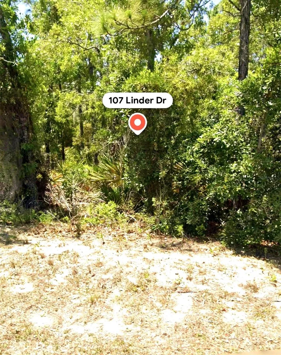 107 LINDER DRIVE Homosassa, FL 34446