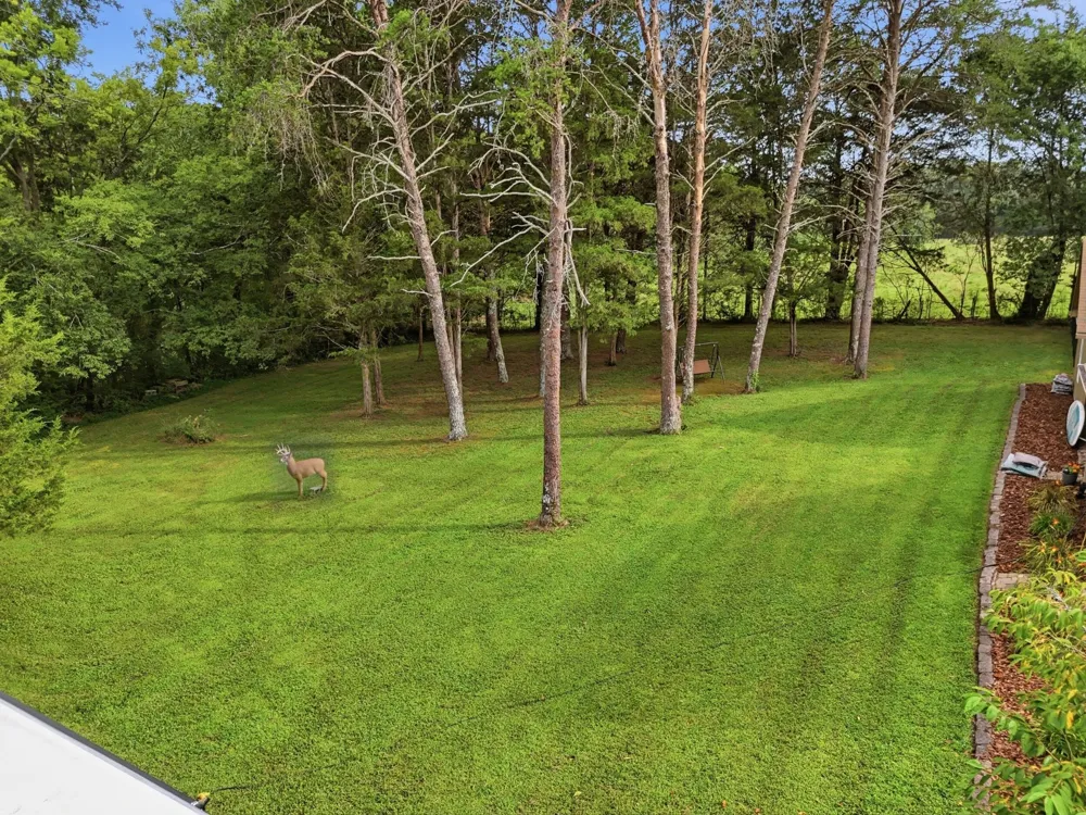 7914 Mahan Gap Road Ooltewah, TN 37363