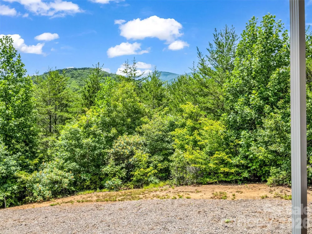 1110 Laughter Road Mill Spring, NC 28756