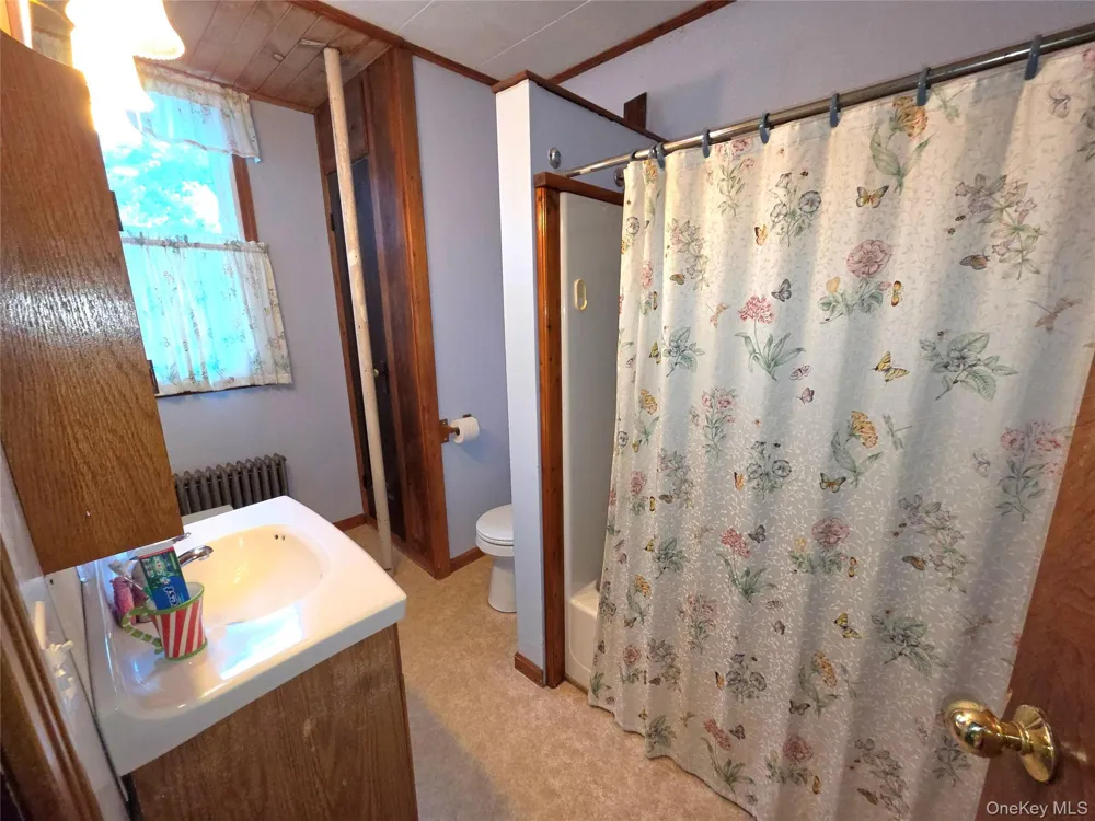 3019 Rt 17B Cochecton, NY 12726