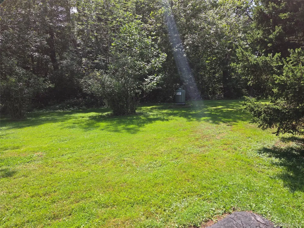 3019 Rt 17B Cochecton, NY 12726