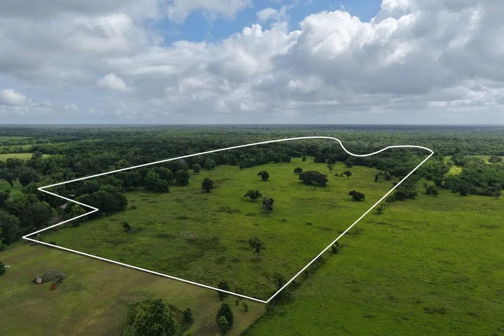 County Road 164 Cedar Lane, TX 77415