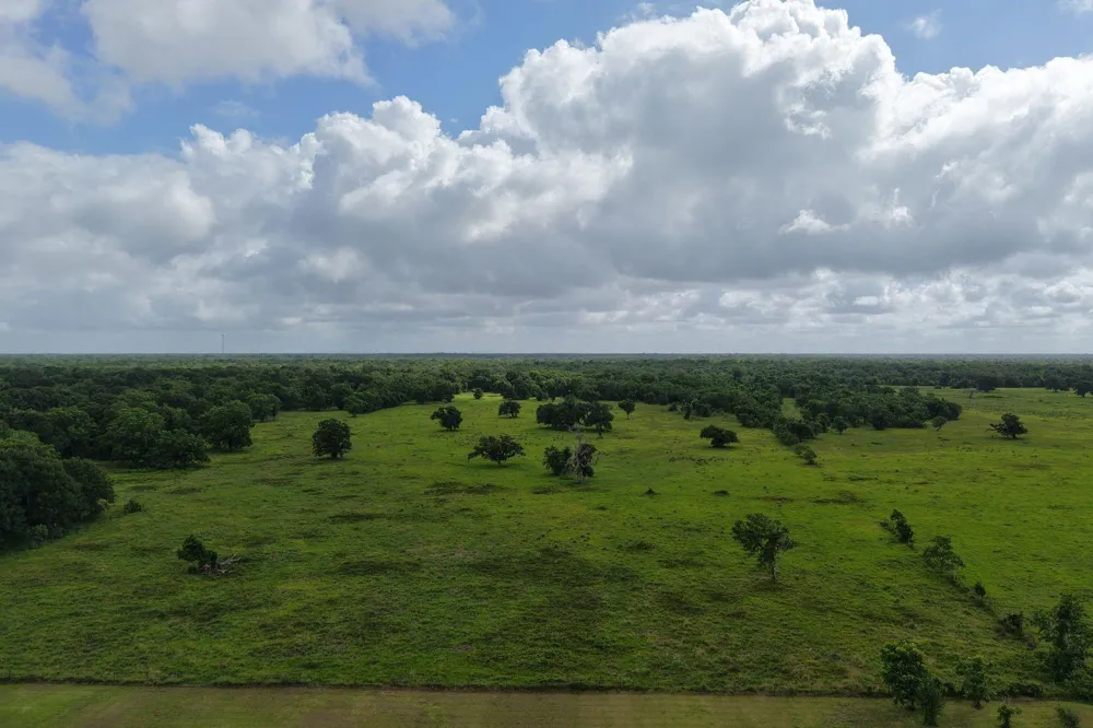 County Road 164 Cedar Lane, TX 77415