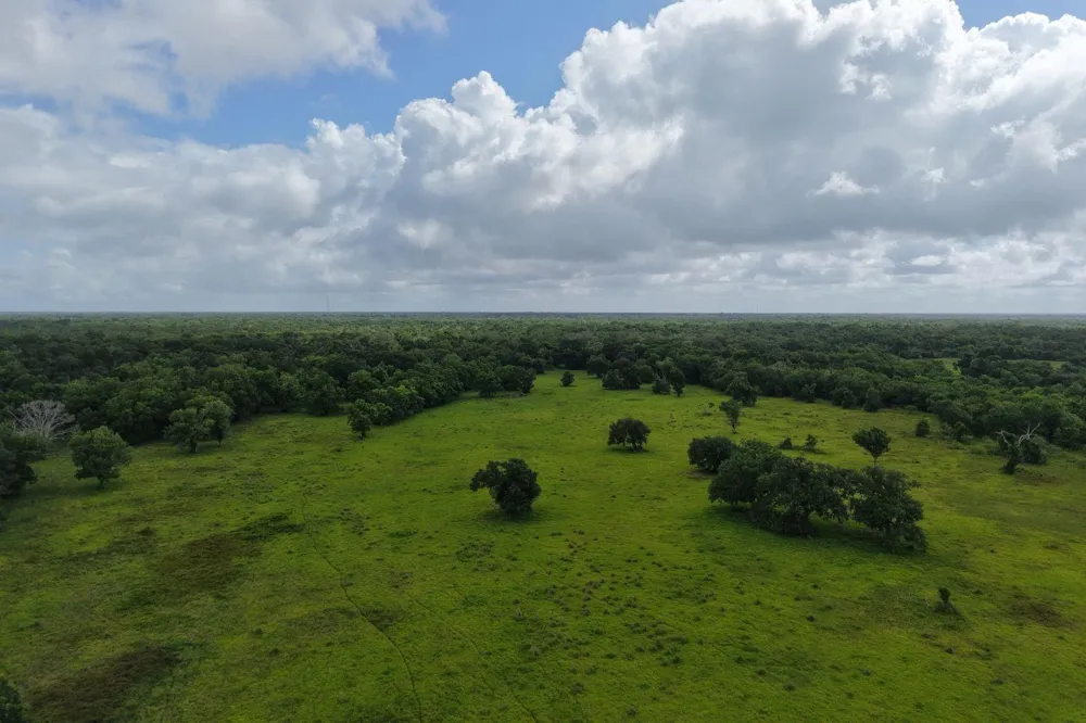 County Road 164 Cedar Lane, TX 77415