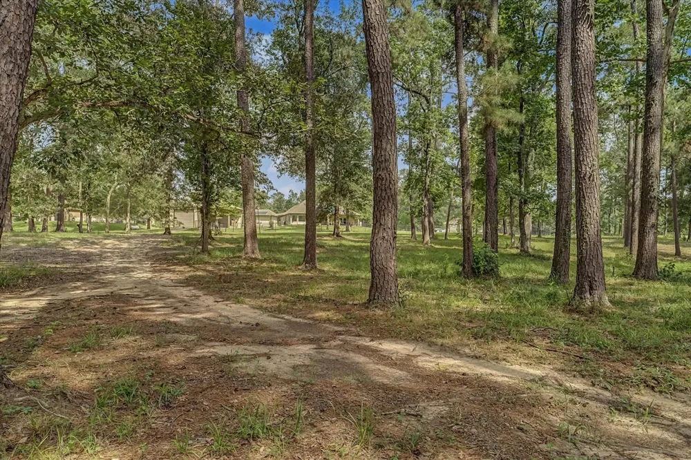 26816 Vista Meadow Court Huffman, TX 77336