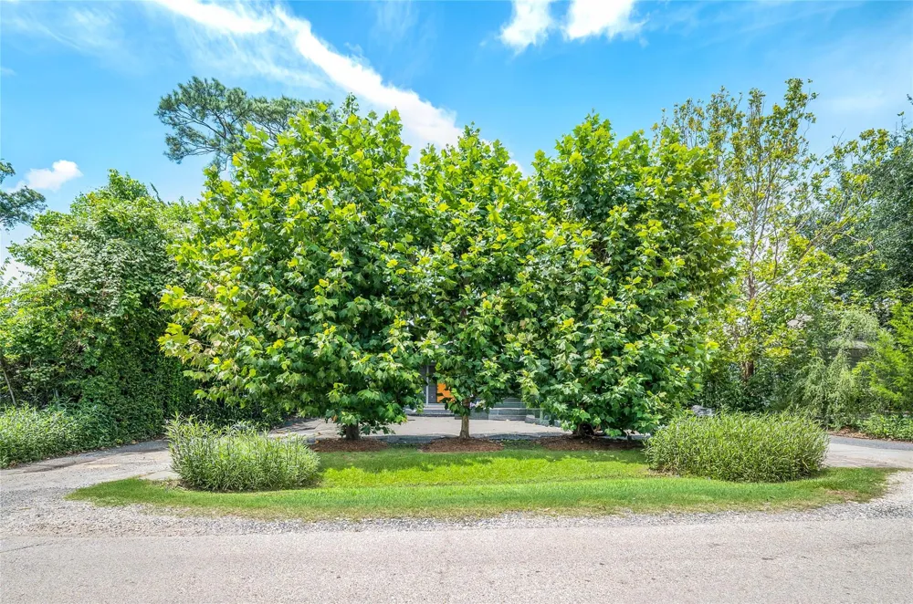 1137 W 26th Street Houston, TX 77008