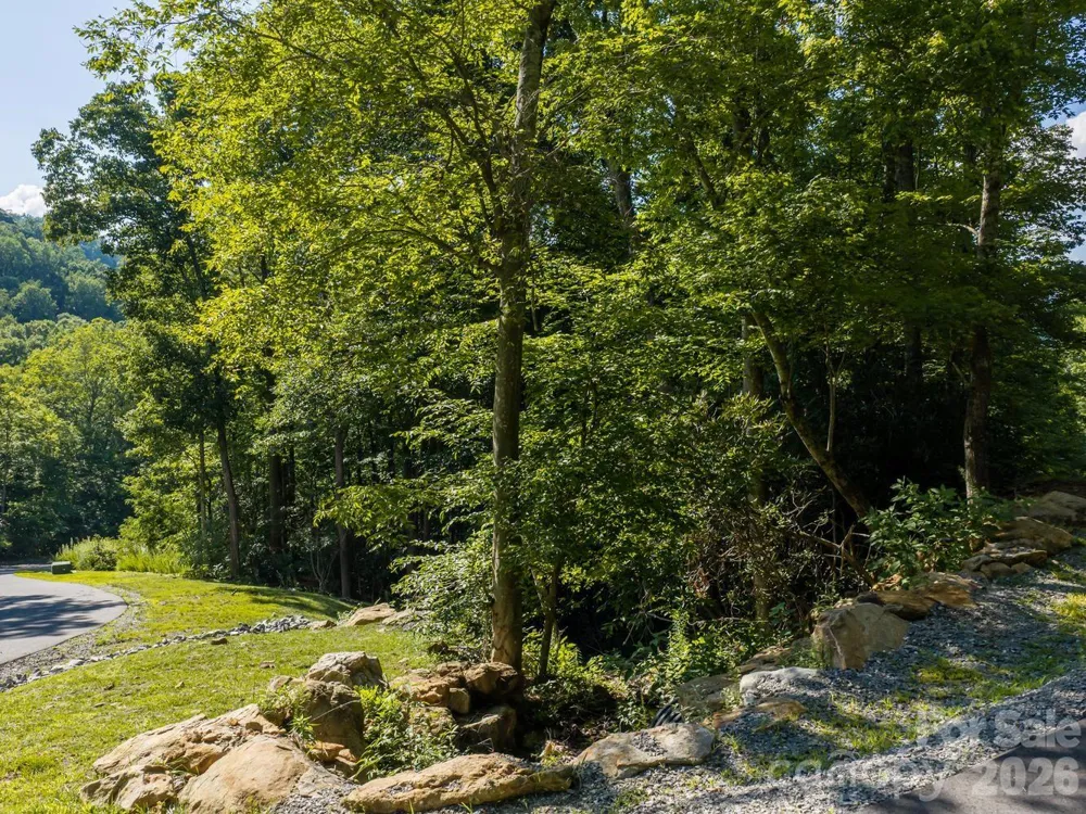 1230 Arborcrest Way Swannanoa, NC 28778