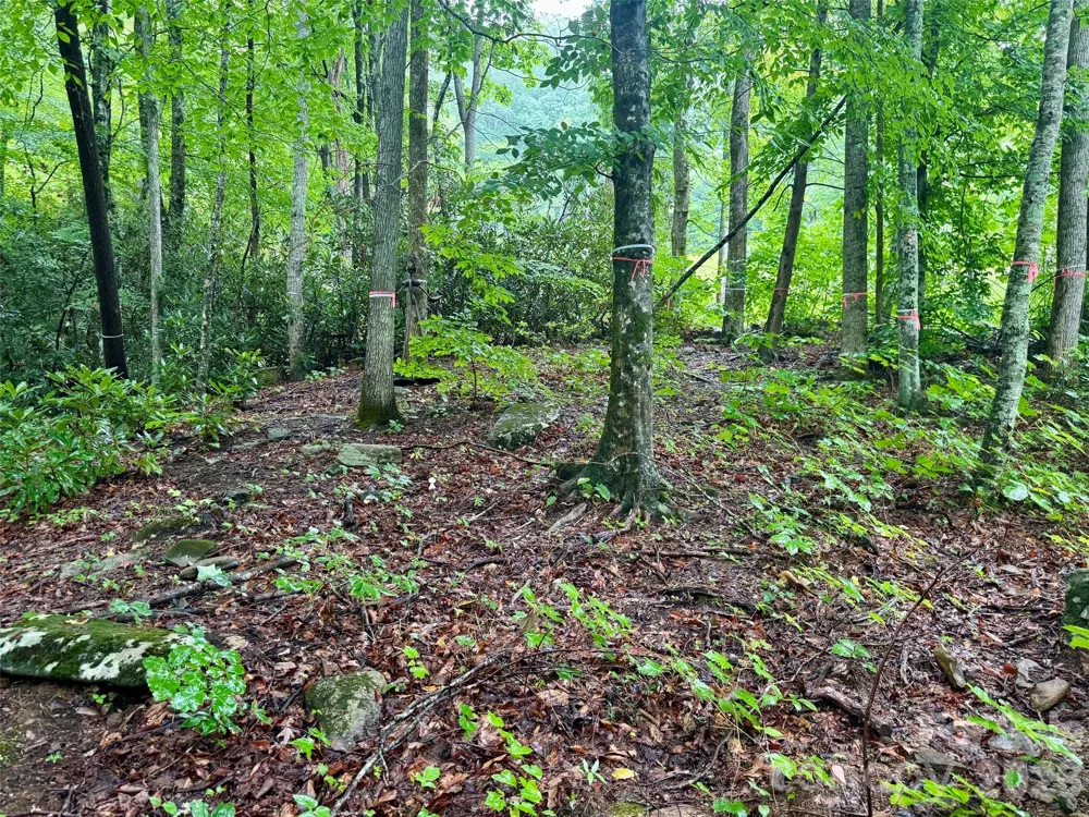 1230 Arborcrest Way Swannanoa, NC 28778