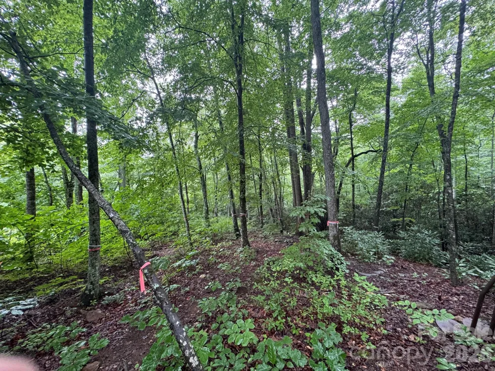 1230 Arborcrest Way Swannanoa, NC 28778