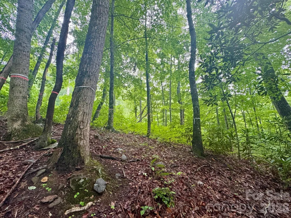 1230 Arborcrest Way Swannanoa, NC 28778