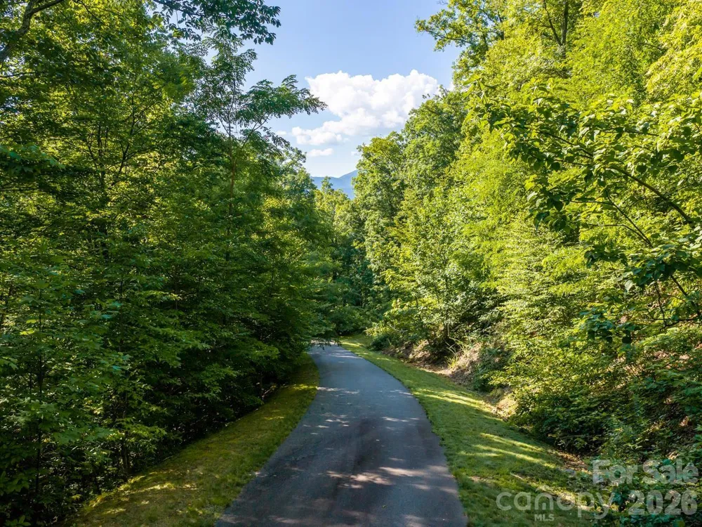 1230 Arborcrest Way Swannanoa, NC 28778