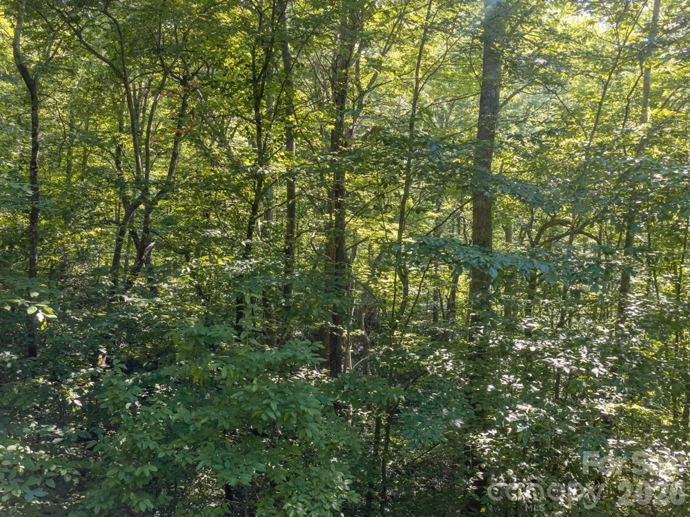 1230 Arborcrest Way Swannanoa, NC 28778