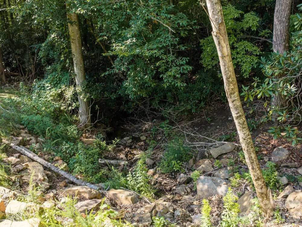 1230 Arborcrest Way Swannanoa, NC 28778