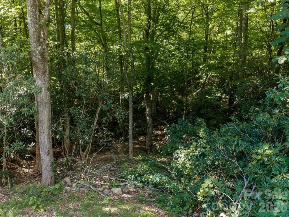 1230 Arborcrest Way Swannanoa, NC 28778