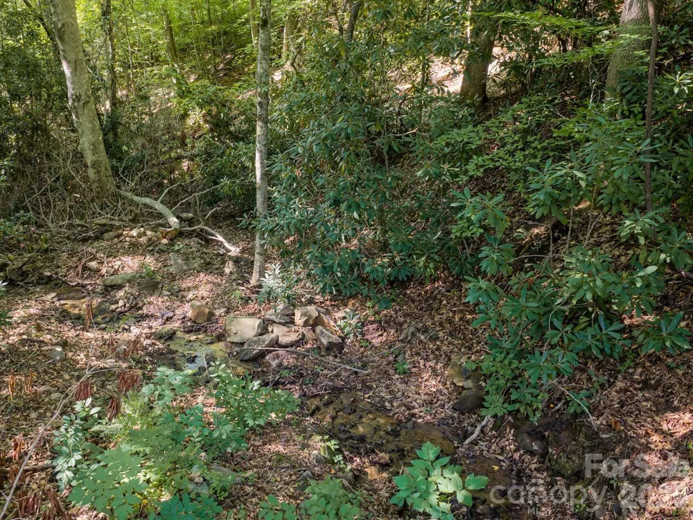 1230 Arborcrest Way Swannanoa, NC 28778