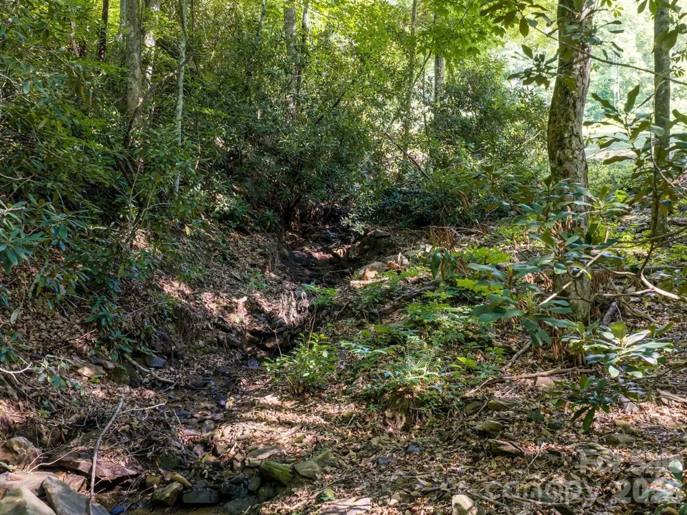1230 Arborcrest Way Swannanoa, NC 28778