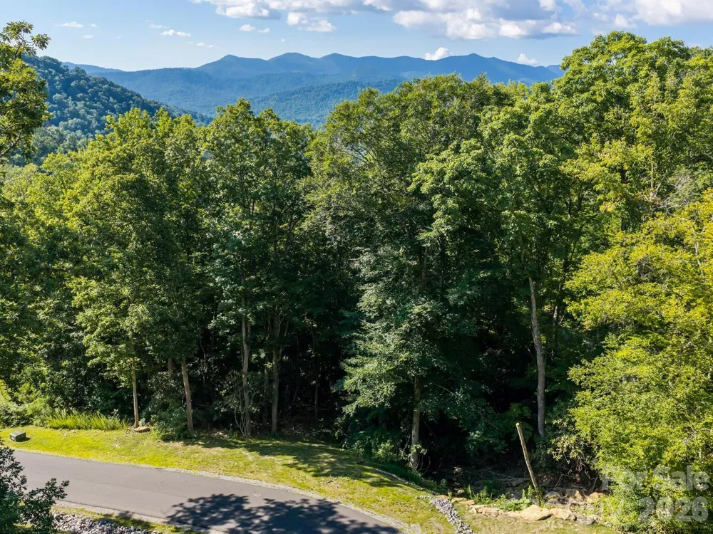 1230 Arborcrest Way Swannanoa, NC 28778