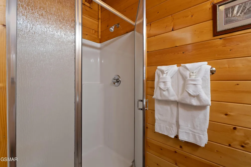 543 Blackberry Ridge Way Pigeon Forge, TN 37863