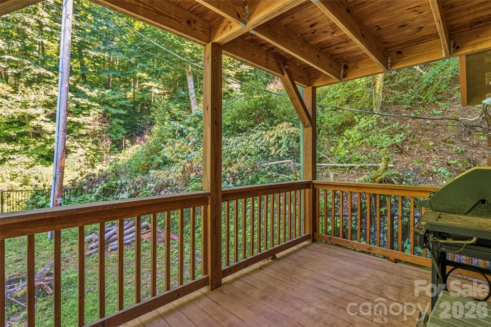 1482 Howard Moore Road Hot Springs, NC 28743