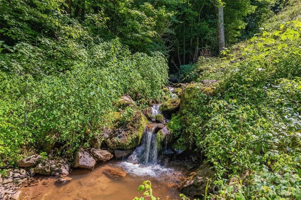 1482 Howard Moore Road Hot Springs, NC 28743