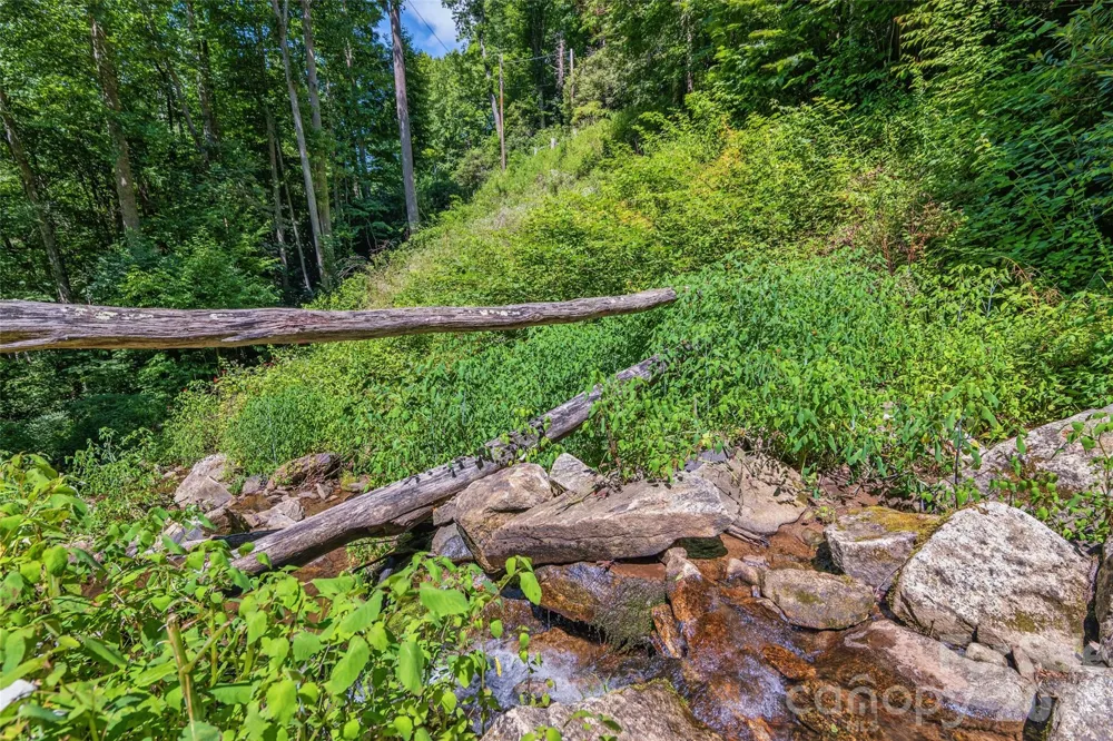 1482 Howard Moore Road Hot Springs, NC 28743