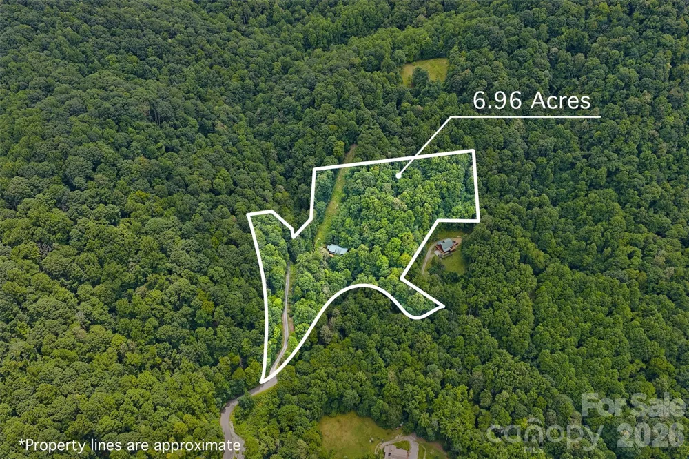 1482 Howard Moore Road Hot Springs, NC 28743