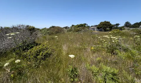 56 Sea Meadow Drive