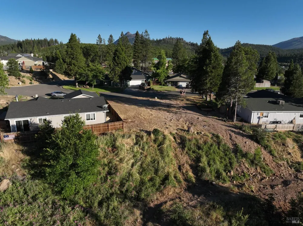 306 Woodridge Court Weed, CA 96094