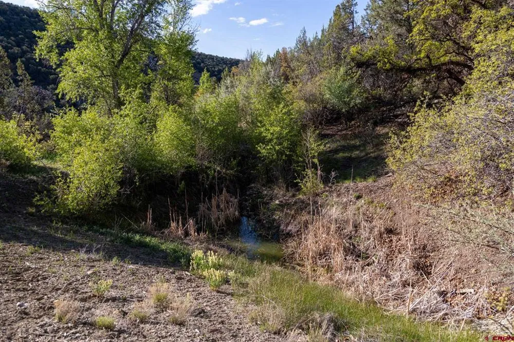 Wolf Park Road Hotchkiss, CO 81419